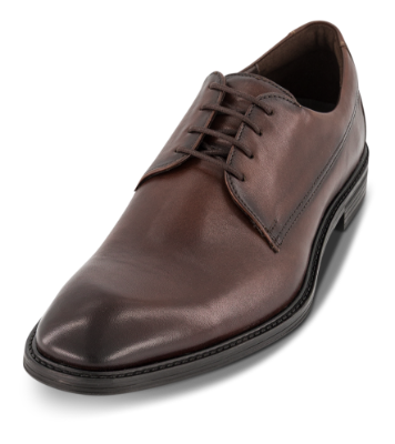 Lloyd X-Motion 110 Herre Sko Brun 25-529