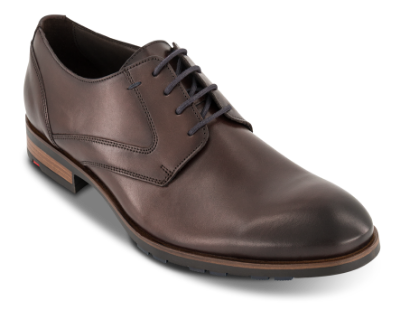 Lloyd Dramon 110 Sko Brun 26-664