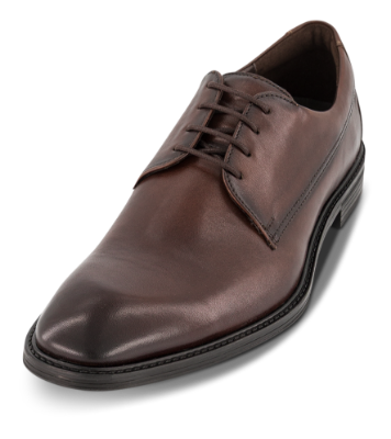Lloyd X-Motion 110 Herre Sko Brun 25-529