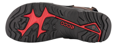 ECCO Herresandal Sort 06956458290  OFFROAD