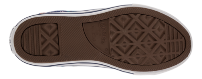 Converse canvas basket blå 667200C Chuck Ta