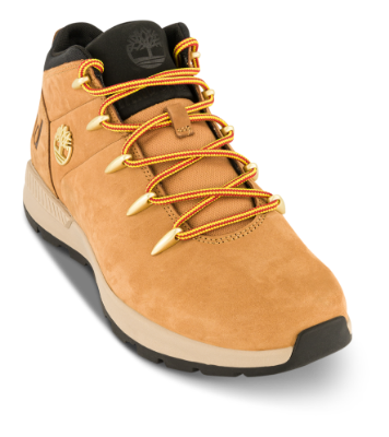 Timberland Sneakers Brun A1XVQ231